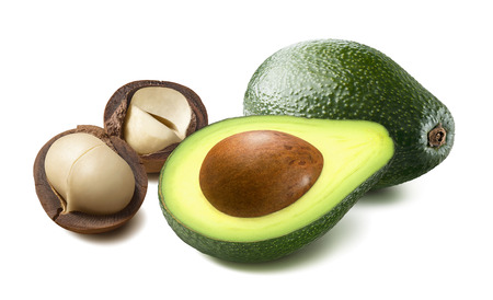 Avocado and macadamia in nutshell isolated on whiteの写真素材