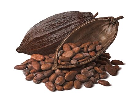 Whole and half cocoa pod with raw beans isolated on whiteの写真素材