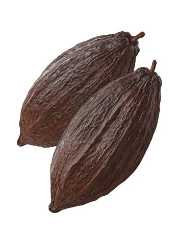 Whole cocoa pods isolated on whiteの写真素材