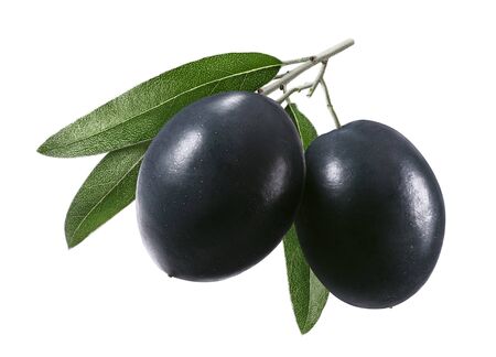Small branch of black olives with leaves isolated on whiteの写真素材