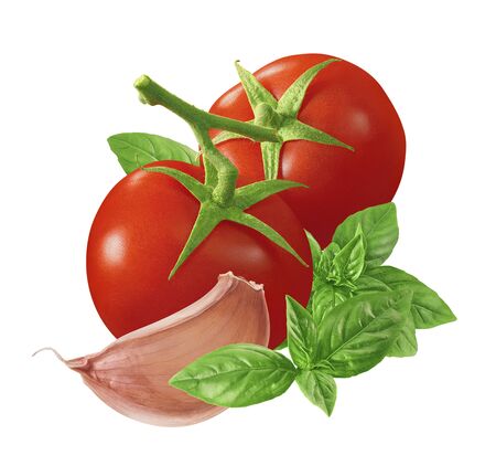 Tomato, garlic and green basil isolated on whiteの写真素材