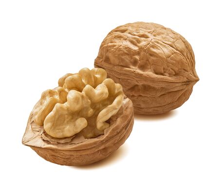 Walnut nut isolated on white background. Package design element with clipping pathの写真素材