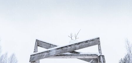Head of snow deer on top of wooden bridge. Winter time. Horizontal image with negative spaceの写真素材