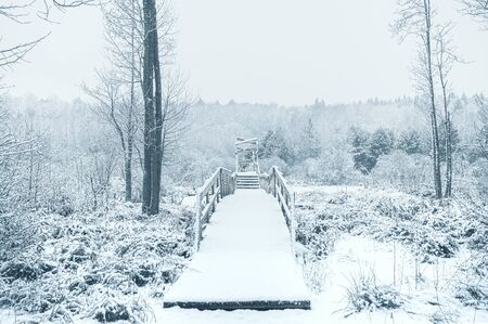Wooden bridge in the forest under snow. Winter time. Wide angle image for travel and adventure storiesの写真素材