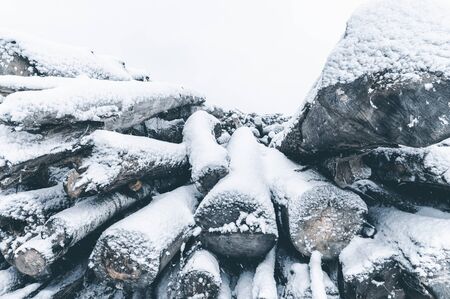 Close-up of snow covered logs in a pile. Horizontal layout for winter stories about forestの写真素材