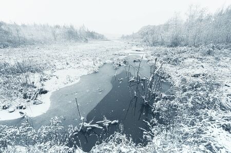 Snow covered marsh land.