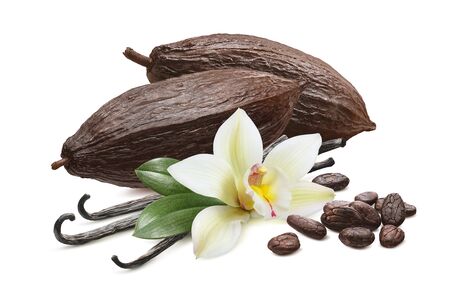 Cocoa pods, beans and vanilla flower isolated on whiteの写真素材