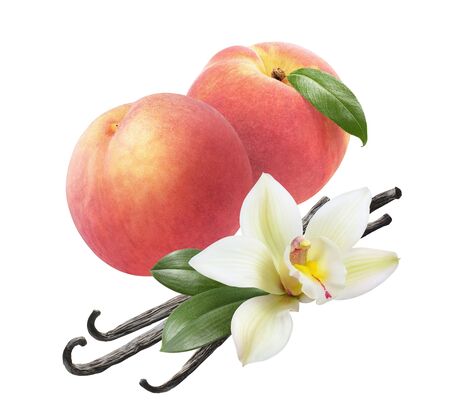 Fresh peach and vanilla beans isolated on whiteの写真素材