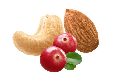 Cashew, almond nuts and cranberries isolated on white background. Package design element with clipping pathの写真素材
