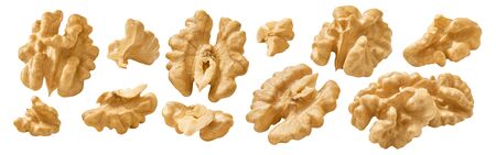 Shelled walnut set isolated on whiteの写真素材