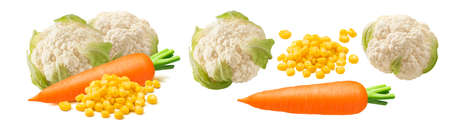 Set of cauliflower, carrot and corn isolated on white backgrounds.の写真素材