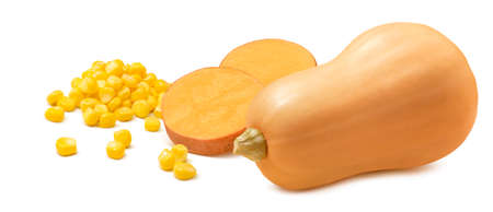 Butternut, sliced sweet potato and corn isolated on white background. Horizontal layout. Package design element with clipping pathの写真素材