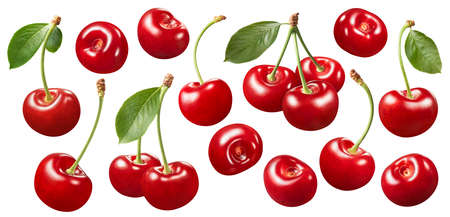 Sweet cherry with stems isolated on white background. Red berries set. Package design elements with clipping pathの写真素材