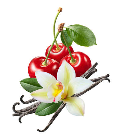 Sweet cherry and vanilla beans isolated on white background. Package design element with clipping path. Full depth of fieldの写真素材