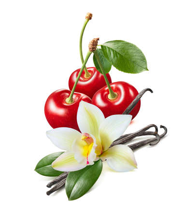 Sweet cherry with leaves plus vanilla beans isolated on white background. Package design element with clipping pathの写真素材