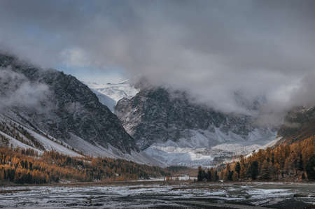 Autumn landscape of mountain valley. Snow covered peaks and yellow larch trees. Low clouds. Scenic viewの写真素材