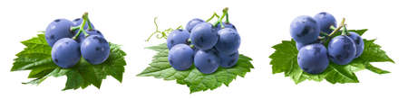 Small grape bunches on leaves set isolated on white background. Package design element with clipping pathの写真素材