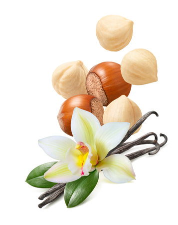 Flying hazelnuts, vanilla flowers and beans isolated on white background. vertical layout. Package design element with clipping pathの写真素材
