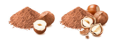 Hazelnuts and cocoa powder set isolated on white background. Package design elementの写真素材