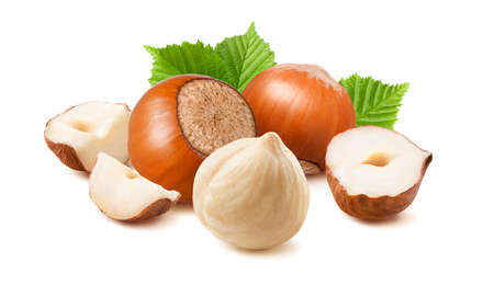 Hazelnut nuts peeled and in nutshell isolated on white background. Package design elementの写真素材