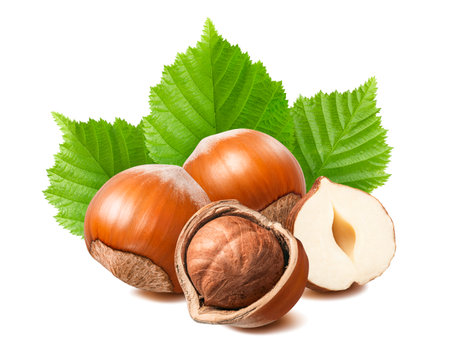 Fresh hazelnut group with leaves isolated on white background. Package design element with clipping pathの写真素材