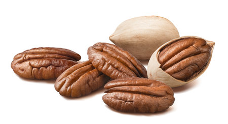 Pecan group isolated on white background. Nuts in shell and peeled nuts. Package design element with clipping pathの写真素材