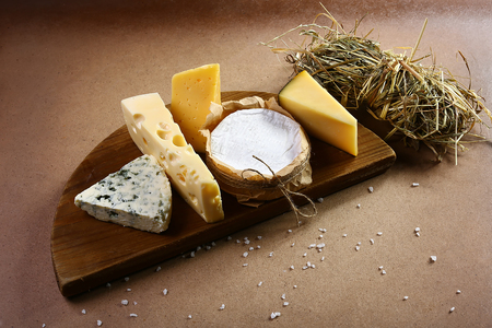 cheese board, cheese with blue mildew, Camembert or brie cheese circle, top view image with copy space, set.の写真素材