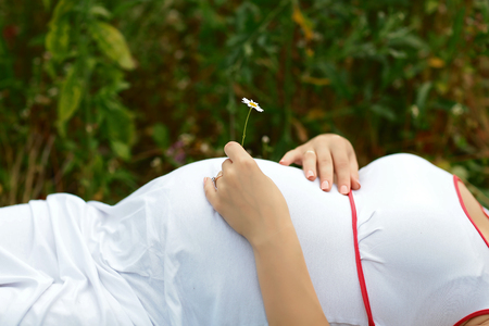 Small chamomile flower for the unborn baby in the belly of pregnant woman - Love concept. Pregnancy concept.の写真素材