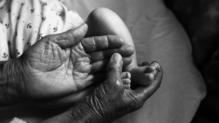 fourth generation family life. old grandmother hands holding newborn feet, black and white shot, the concept of a family and a new life into a selective focus.の写真素材