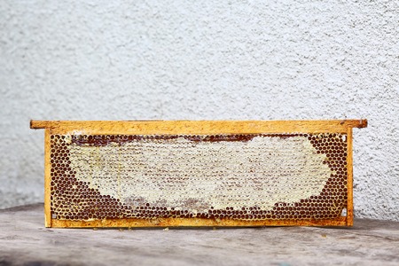 Apiary hive frame with bees wax structure full of fresh bee honey in honeycombs. Isolated. Free space for your text.の写真素材