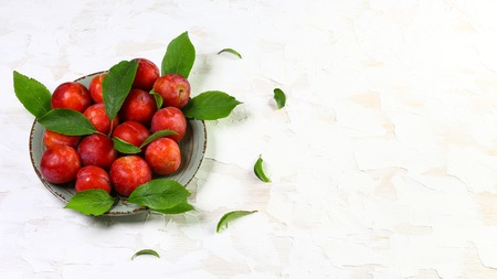 red plum on the plate on a light background, Authentic lifestyle image. Seasonal harvest crop local produce concept. top view, place for text.の写真素材