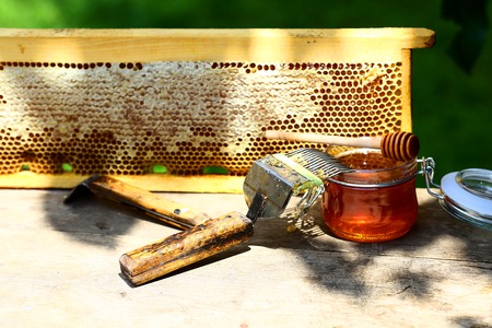 jar of fresh honey in a glass jar, beekeeping tools outside. frame with bees wax structure full of...