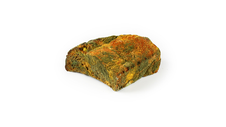 piece of black bread with green mold isolated on white background, concept of inedible products,...