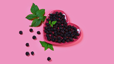 Fresh blackberries on a plate with blackberry leaves, on pink background, Authentic lifestyle image....