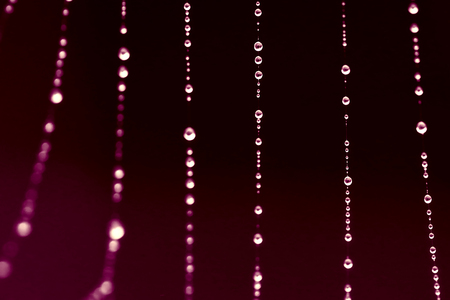 The spider web with dew drops. Abstract background. selective focus.の写真素材