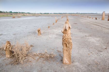 Salt lane enclosed by dried wooden pillars on a pink salt lake. Salt production. Landscape on pink...