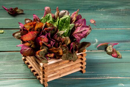 Fresh red spinach leaves in box on rustic wooden table. banner menu recipe place for text.