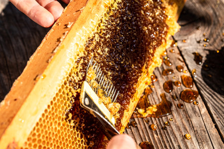 Beekeeper is uncapping honeycomb with special beekeeping tool. frame with bees wax structure full of fresh bee honey in honeycombs. Apriculture and sericulture concept.の写真素材