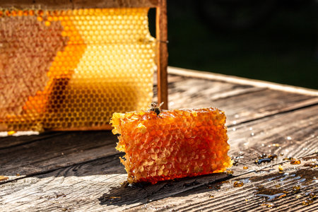 bee flying, honeycombs with full cells of honey with wooden honey dipper on wooden table, honeycombs...