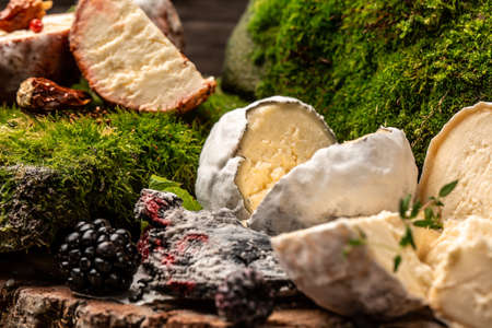 French goat cheese covered with ash, assortment of mature goat cheese, Food recipe backgroundの写真素材