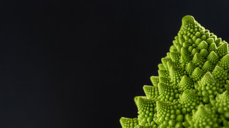 Romanesco broccoli close up. The fractal vegetable is known for it's connection to the fibonacci sequence and the golden ratio. Fun food for any practical scientists that loves mathematics.の写真素材