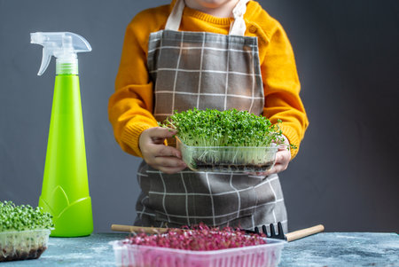 happy child takes care of microgreen at home watering with drops of water in frozen motion. little gardener. Vegan and healthy eating concept.の写真素材