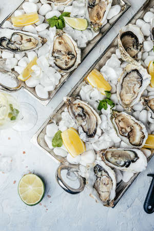 Fresh oysters platter with sauce and lemon. Oyster dinner with champagne in restaurant. Food recipe background. close up.の写真素材