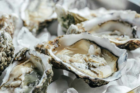 Oysters with wine, lemon, and ice. oyster dish. Oyster dinner with champagne in restaurant. banner,...