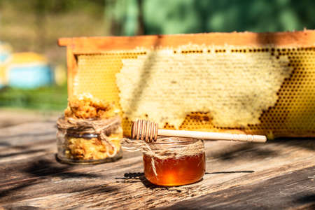 Natural honey with a spoon on old rustic table. bee products by organic natural ingredients concept,...