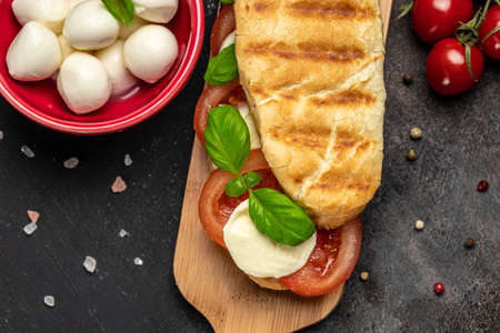 Pressed and toasted panini caprese with tomato, mozzarella and basil, Caprese Panini Sandwich....