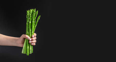 Asparagus. bunch of fresh asparagus in women's hands. banches of fresh green asparagus on dark...