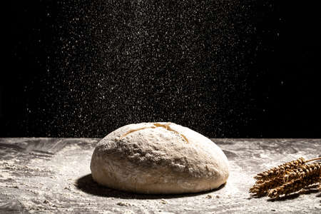 yeast dough for bread or pizza on a floured surface, with flour splash. Cooking bread. Kneading the...