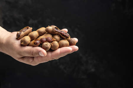 male hands holding Tamarinds set beans in shell on a brown butchers block on a dark background, Tropical healthy fruits. banner, menu, recipe place for text.の写真素材