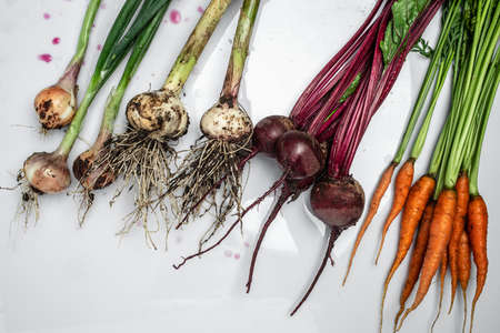 Bunch of fresh organic beetroots and carrots with green leaves. onion garlic heads, The concept of...